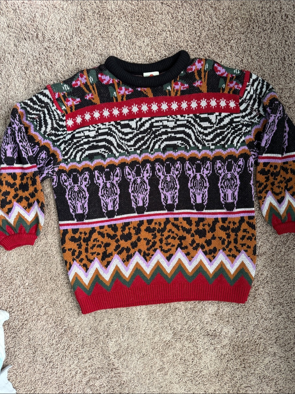 Multicolor Patterned Crewneck Sweater - Men